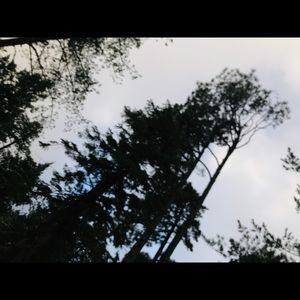 Meet your Posher, Yaneth